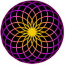 TORUS