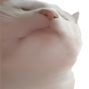 Vibe Cat