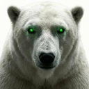 White Polar Bear