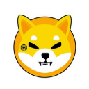 Yellow Shib