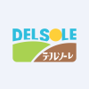 Delsole Corporation