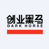 Dark Horse Technology Group Co., Ltd.