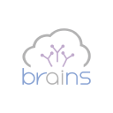Brains Technology, Inc.