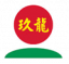 Nine Dragons Paper (Holdings) Limited