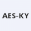 Advanced Energy Solution Holding Co., Ltd.