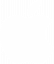 Apple Inc.