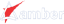 Amber Enterprises India Limited
