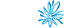 AMP Limited