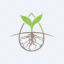 Argo Graphene Solutions Corp.