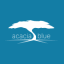 Bleuacacia Ltd