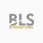 BLS International Services Limited