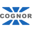 Cognor Holding S.A.
