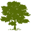 Community Health Systems, Inc.