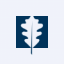 Fair Oaks Income Limited