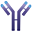 Immunovant, Inc.