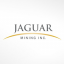 Jaguar Mining Inc.
