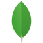 MongoDB, Inc.