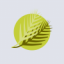 Al Meera Consumer Goods Company Q.P.S.C.