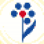 Orchid Pharma Limited