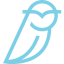 Blue Owl Capital Inc.