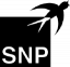 SNP Schneider-Neureither & Partner SE