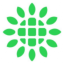 Shoals Technologies Group, Inc.