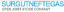 Surgutneftegas Public Joint Stock Company