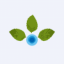 Tanfac Industries Limited