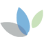 Protara Therapeutics, Inc.