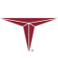 Triumph Group, Inc.