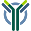 Y-mAbs Therapeutics, Inc.