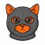 Addicted Cat