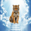 Altai the Tiger