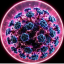 Andes Virus
