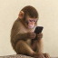 Apeonfone
