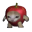 Apple Cat