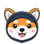 Asteroid Shiba