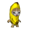 Banana cat