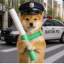 BATON