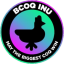 BCOQ INU