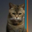 Beancat