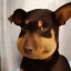 蜜蜂狗（Beedog)