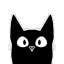 BLACKCAT