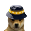 BNB DOGE