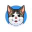 Bobby The Cat