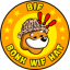 Bonkwifhat