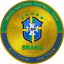 Brazil National Football Team Fan Token