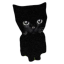 Bro the cat