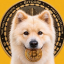 Buddy -First Crypto Dog Price