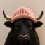 Bullwifhat